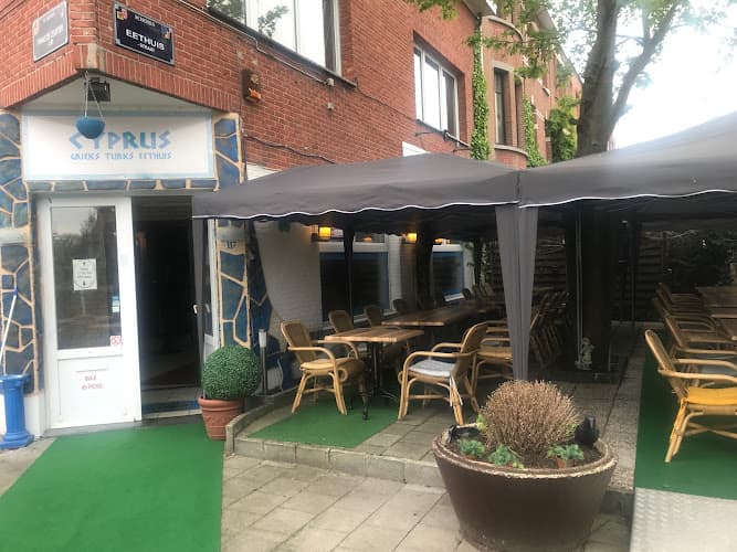 Cyprus in Schoten